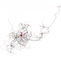 underwater_neurons_06