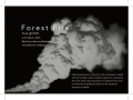 forest-fire-02