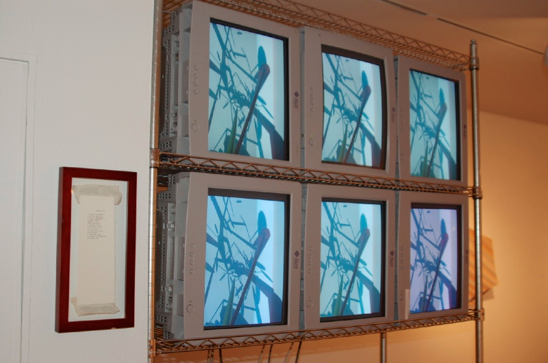 edge-effects 2007