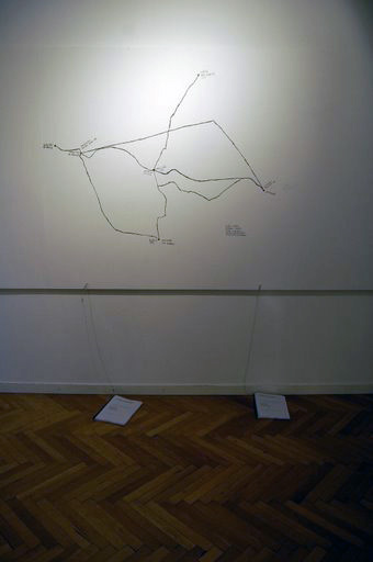 metaMap 2007